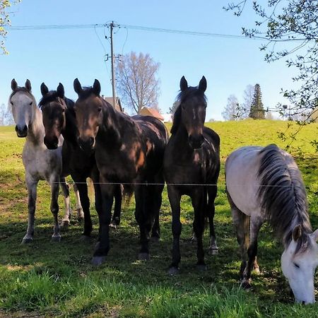 Eha Farmstay Rõuge Buitenkant foto